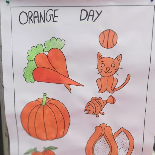 Orange Color Day