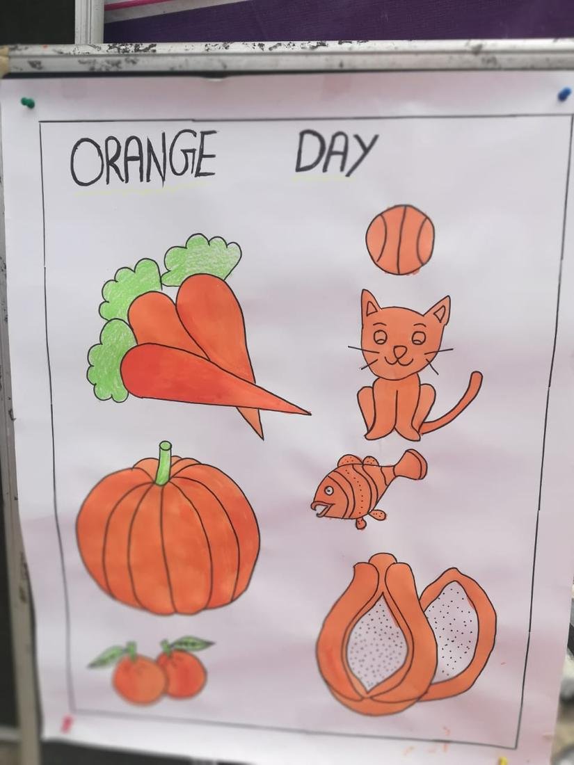 Orange colour day